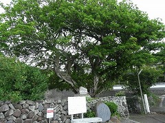 萬造寺斉 生誕の地